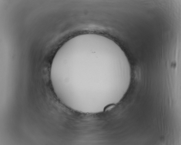 X0000110731493200907022057