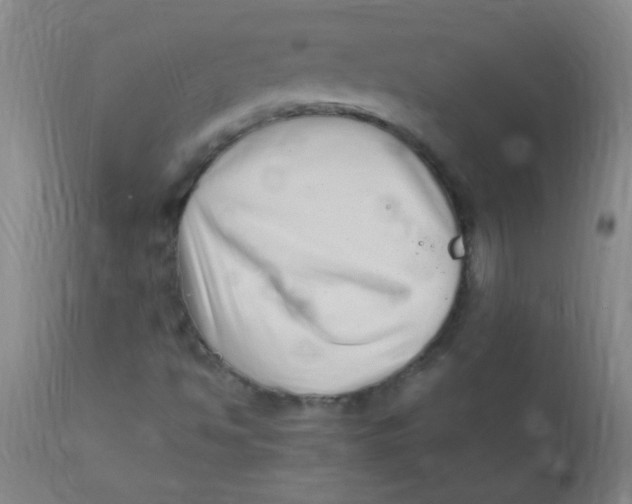 X0000110731494200907022057