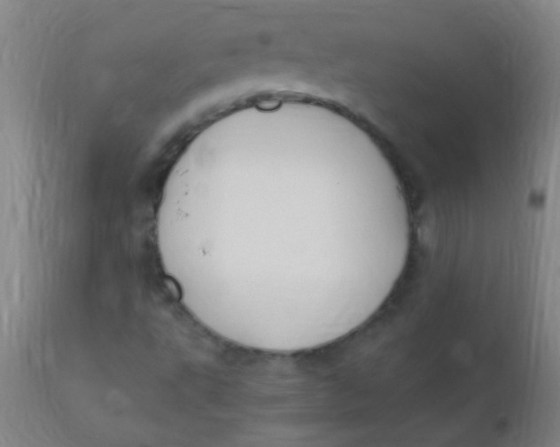 X0000110731495200907022057