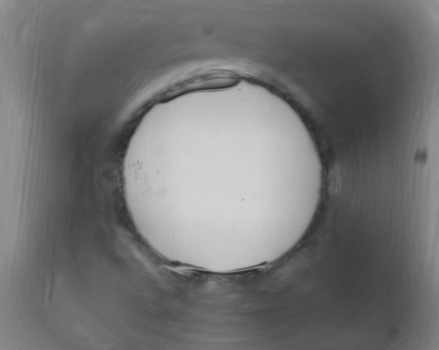 X0000110731496200907022057