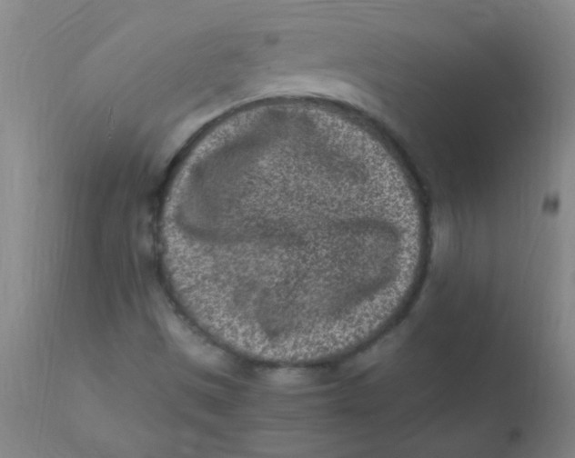 X0000110731497200907022057