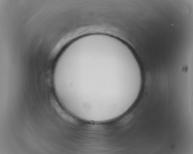 X0000110731499200907022057