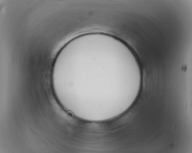 X0000110731500200907022057