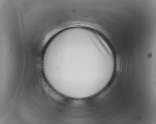 X0000110731501200907022057