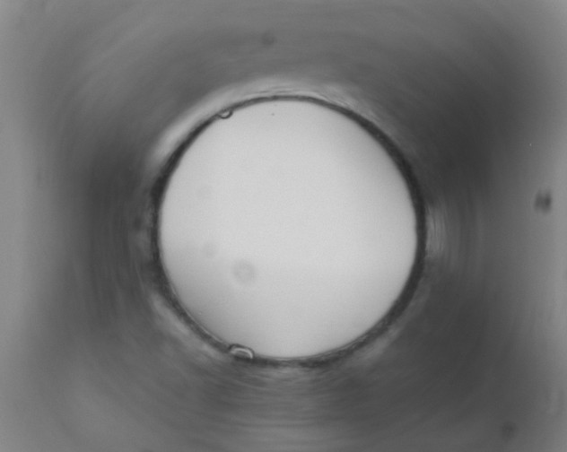 X0000110731502200907022057