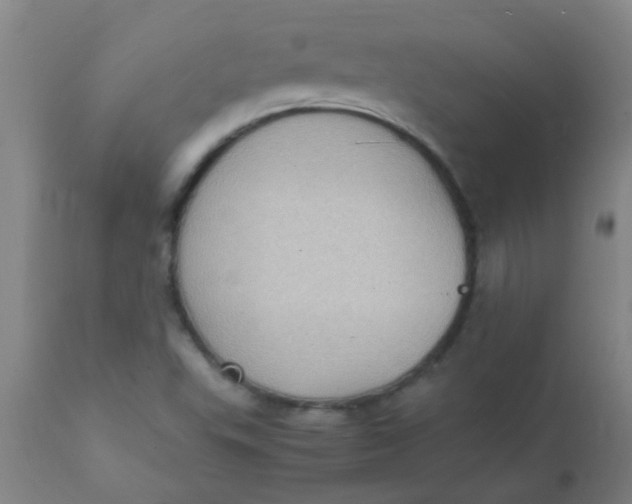 X0000110731503200907022057