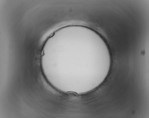 X0000110731504200907022057