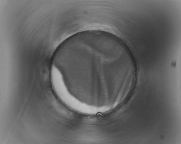 X0000110731505200907022057