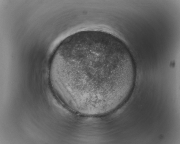 X0000110731506200907022057