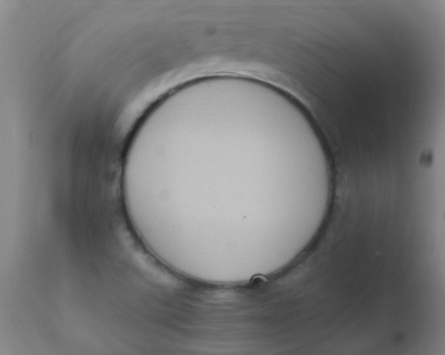 X0000110731507200907022057