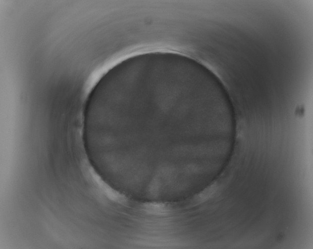 X0000110731508200907022057