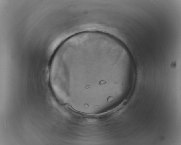 X0000110731509200907022057