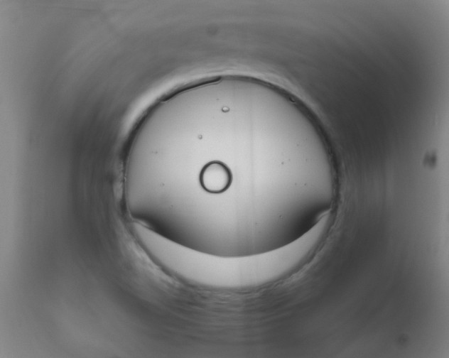 X0000110731510200907022058