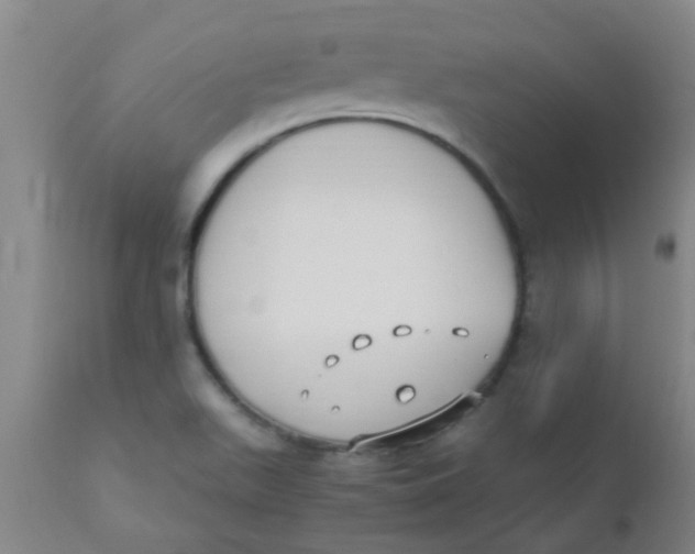 X0000110731511200907022058