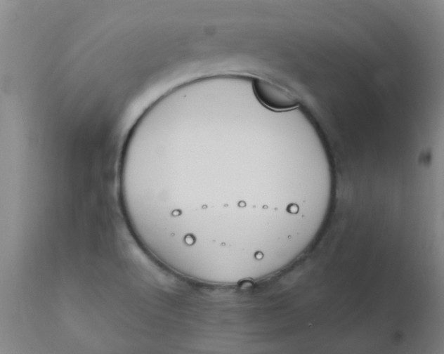 X0000110731512200907022058