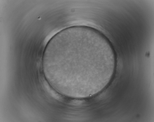 X0000110731513200907022058