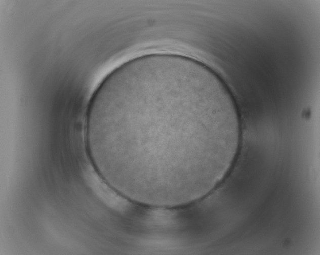 X0000110731514200907022058