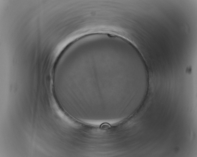 X0000110731515200907022058