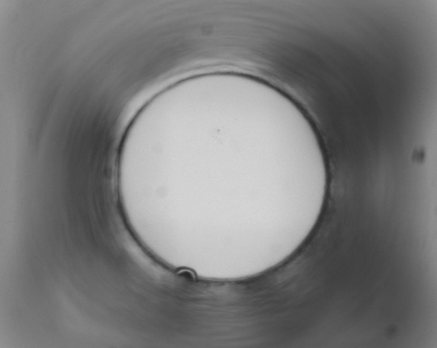 X0000110731516200907022058