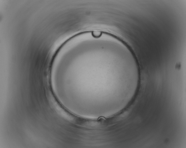 X0000110731517200907022058