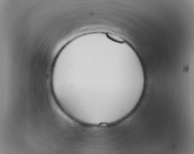 X0000110731518200907022058