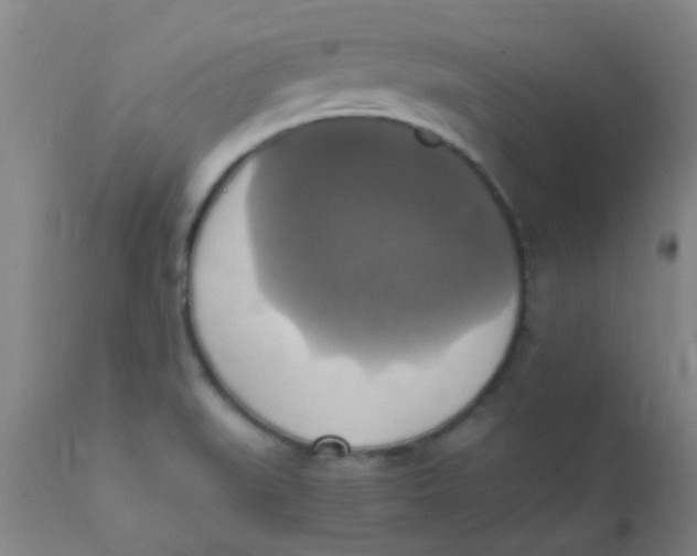 X0000110731519200907022058