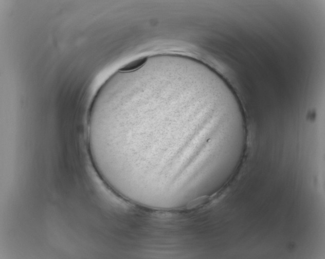 X0000110731520200907022058