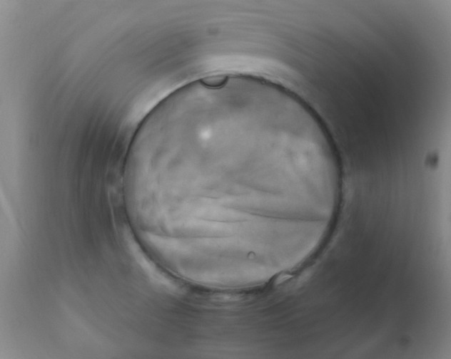 X0000110731521200907022058