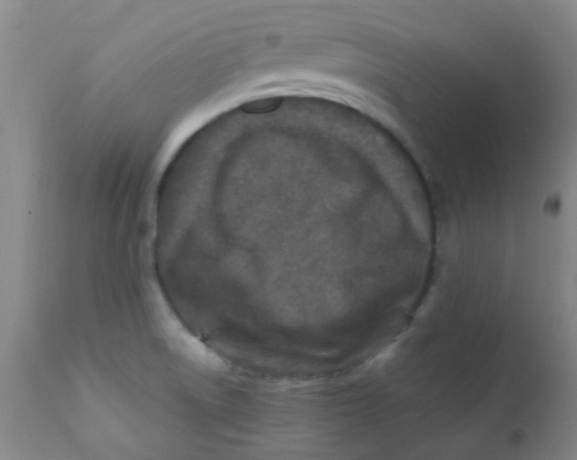 X0000110731522200907022058