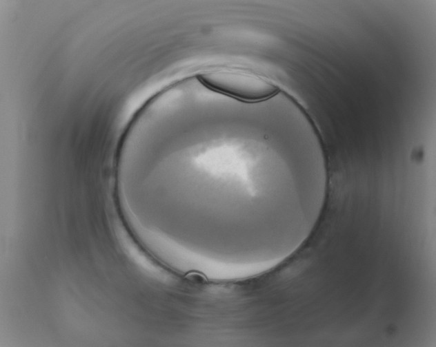 X0000110731523200907022058