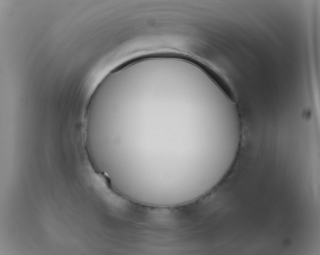 X0000110731524200907022058