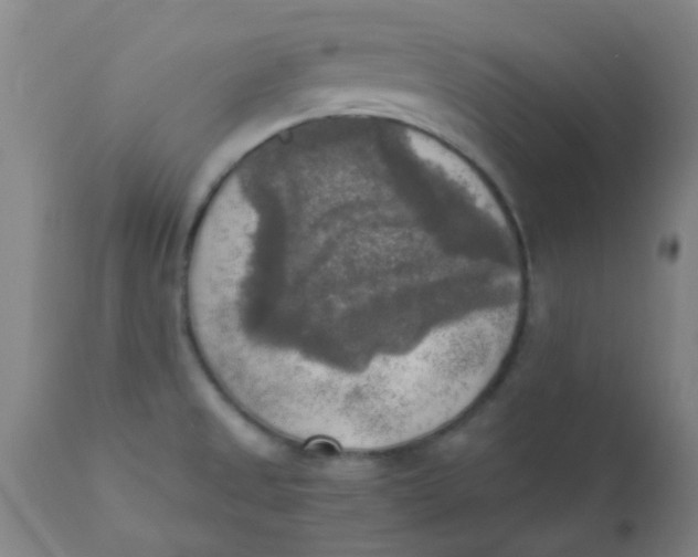 X0000110731525200907022058