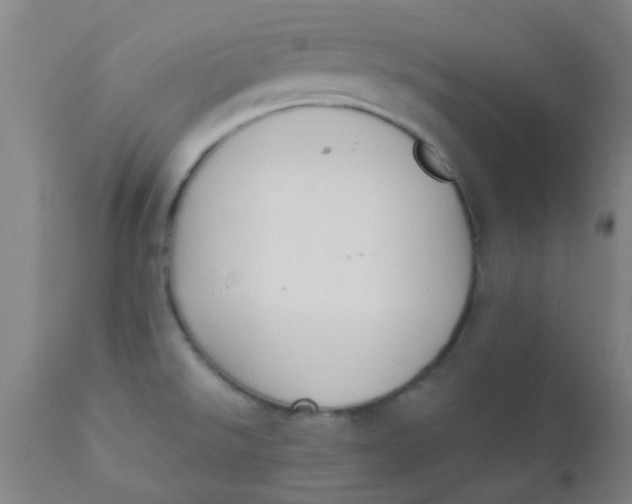 X0000110731526200907022058