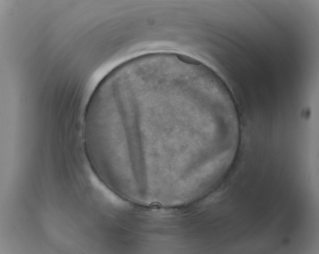 X0000110731527200907022058