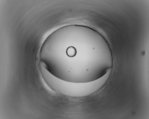 X0000110731528200907022058