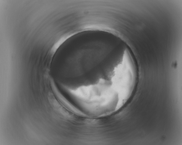 X0000110731529200907022058