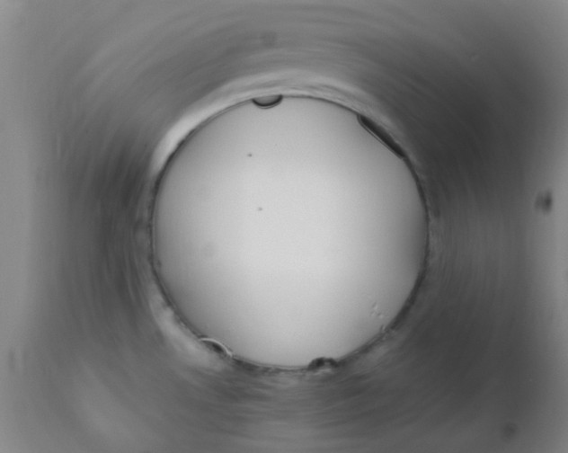 X0000110731530200907022058