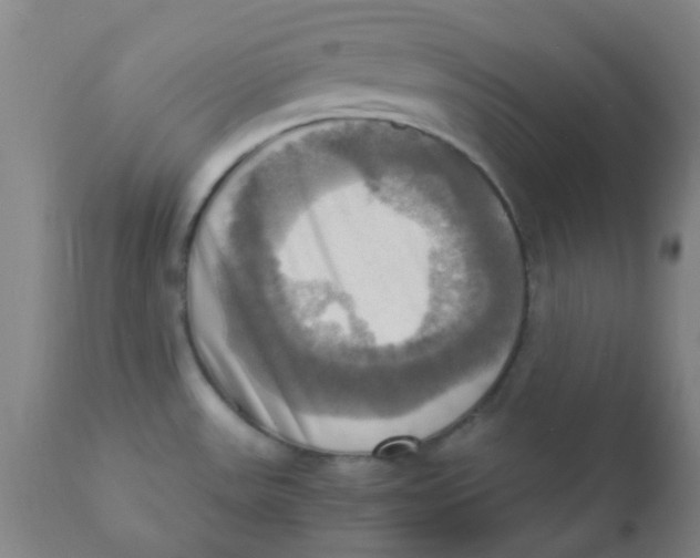 X0000110731531200907022058