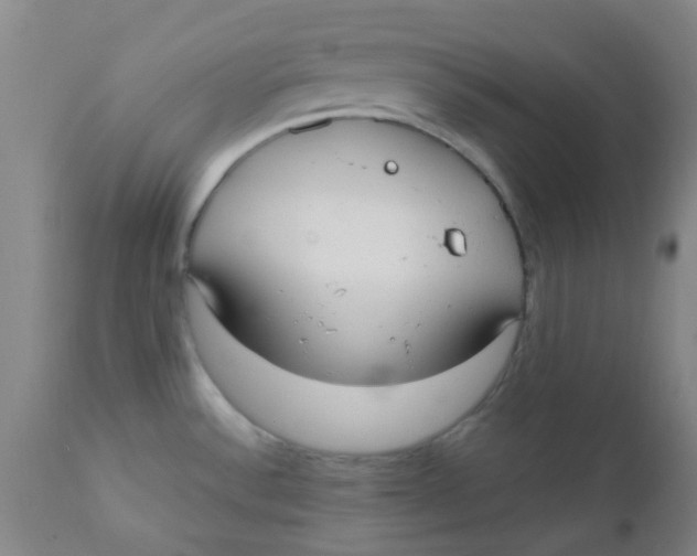 X0000110731532200907022058