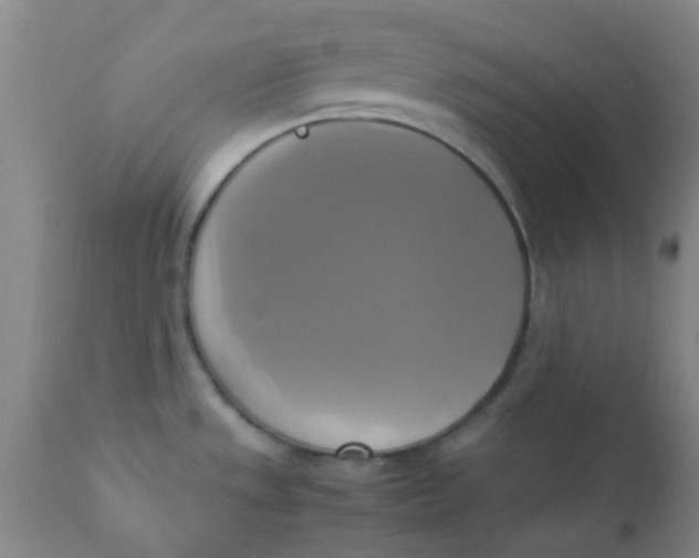 X0000110731533200907022058