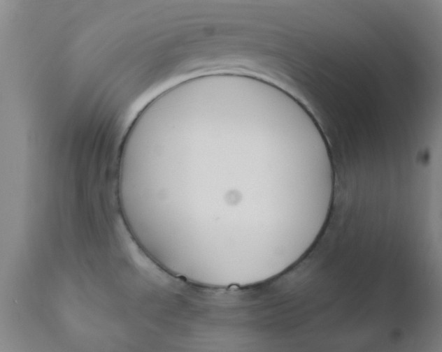 X0000110731534200907022058