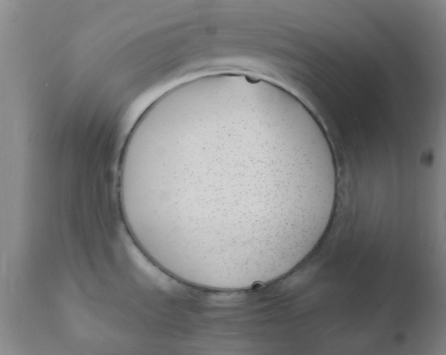 X0000110731535200907022058