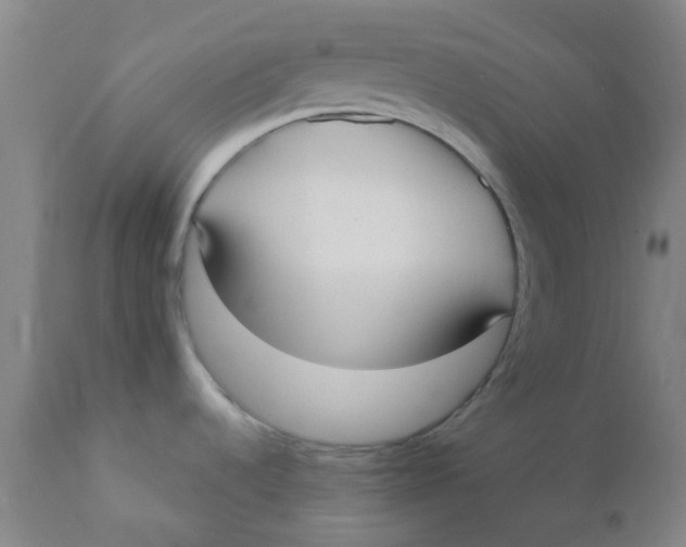 X0000110731536200907022058