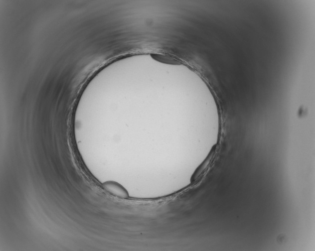 X0000110730001200907101439