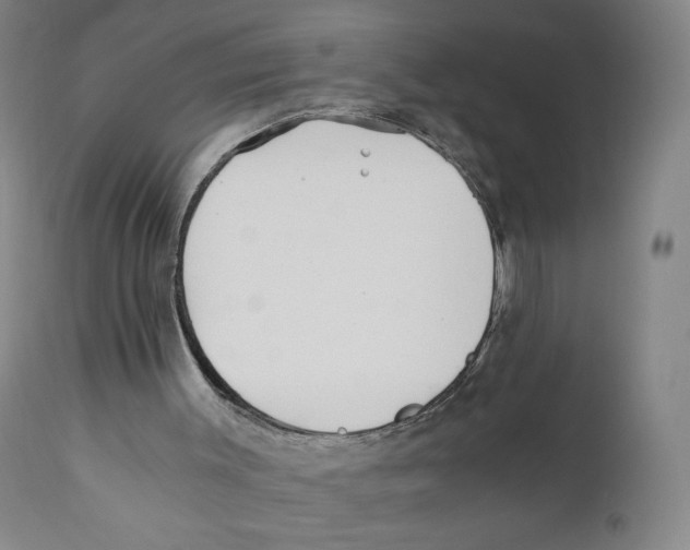 X0000110730003200907101439