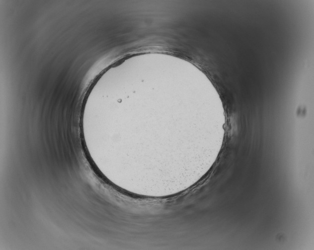 X0000110730004200907101439