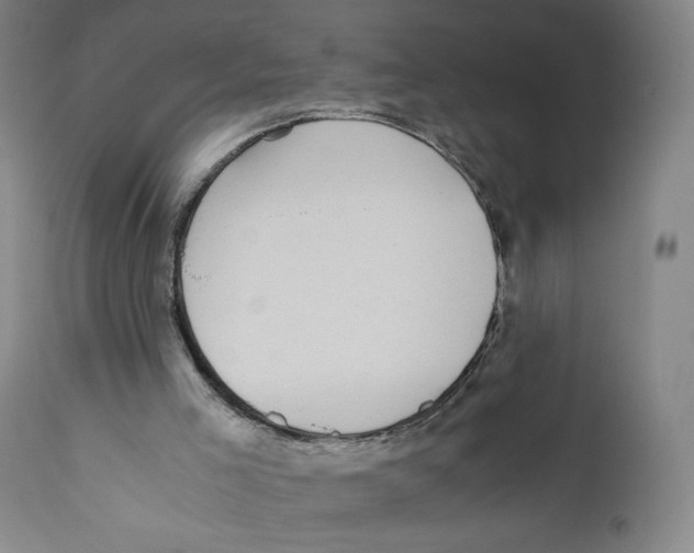 X0000110730005200907101439