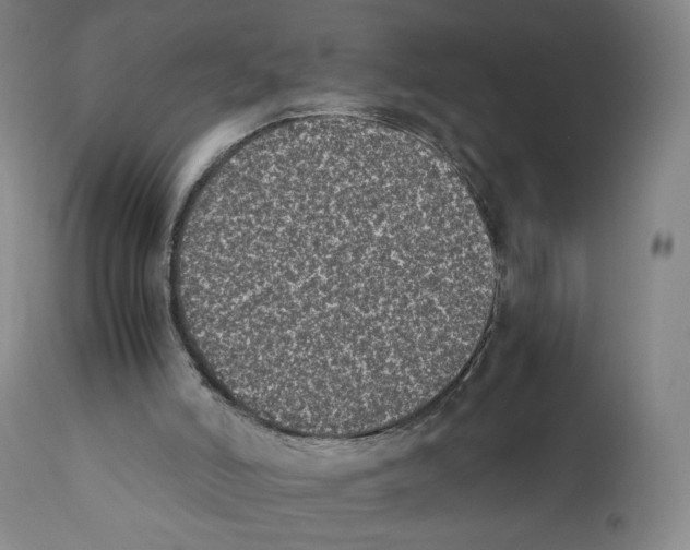 X0000110730006200907101439