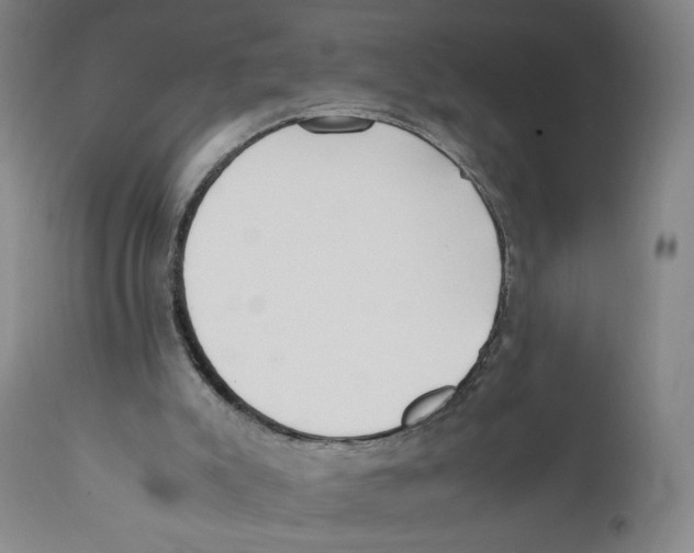X0000110730007200907101439