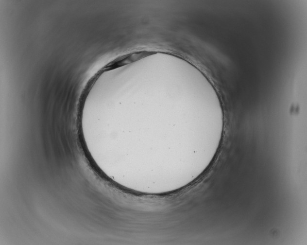 X0000110730008200907101439